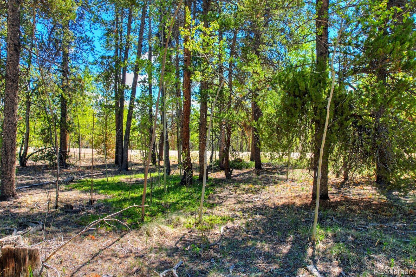 337 Busch Run RD, Fairplay, CO 80440
