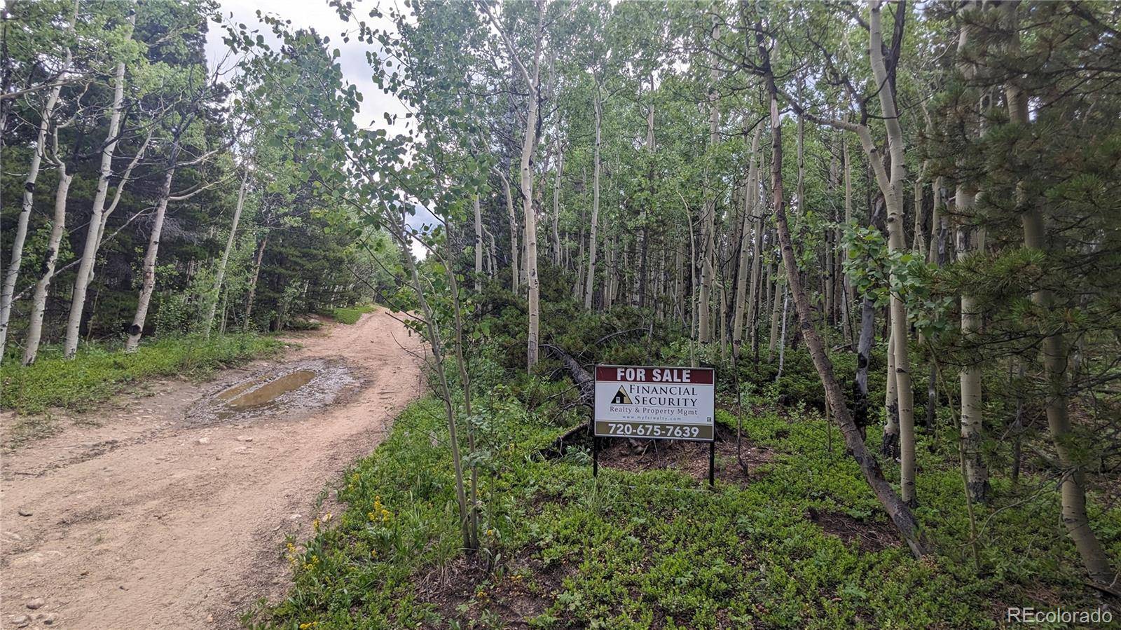 TBD Roy Smith RD, Central City, CO 80427
