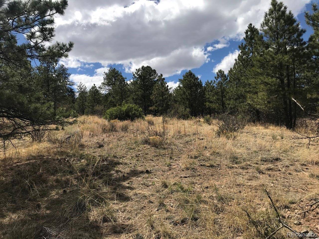 2871 Marcey RD, Westcliffe, CO 81252