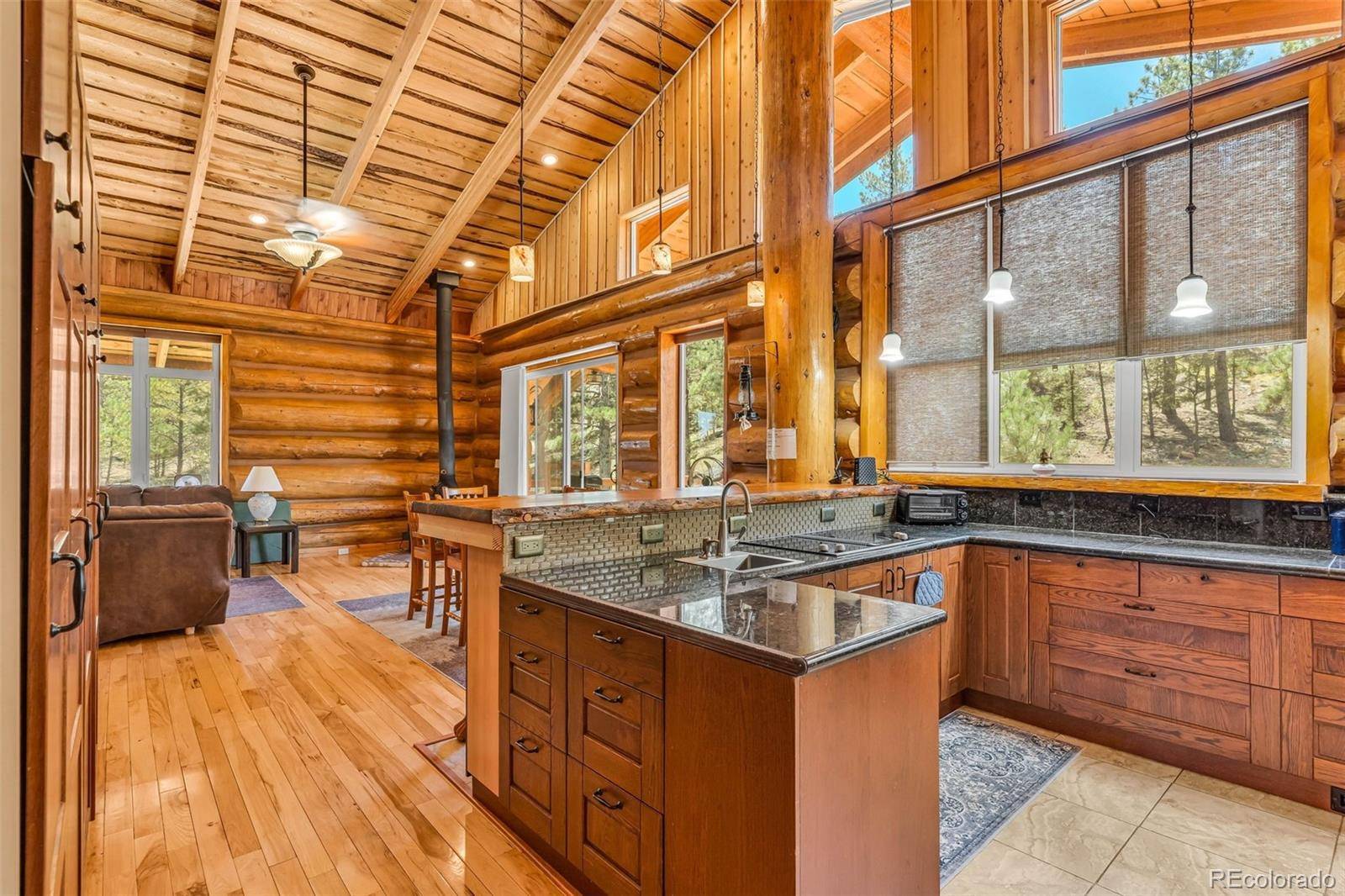 860 Texas Creek LN, Cotopaxi, CO 81223