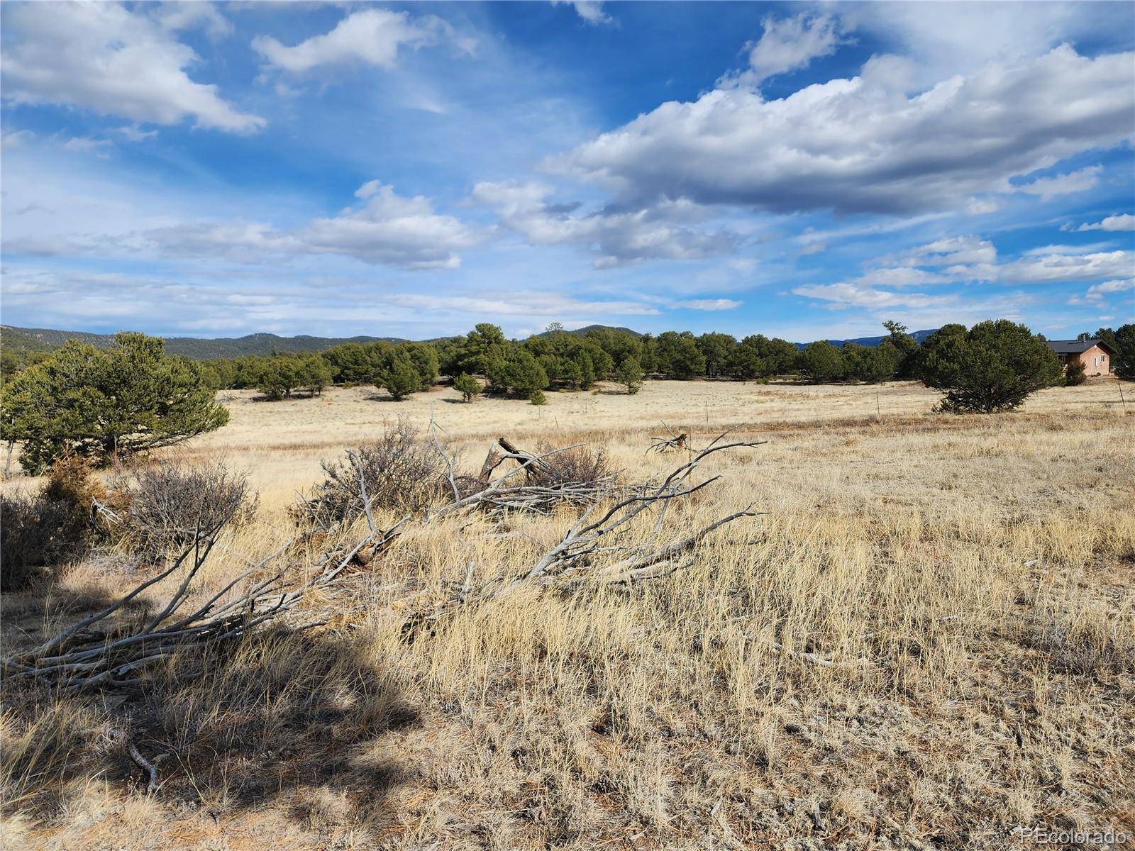 Pinon, Cotopaxi, CO 81223