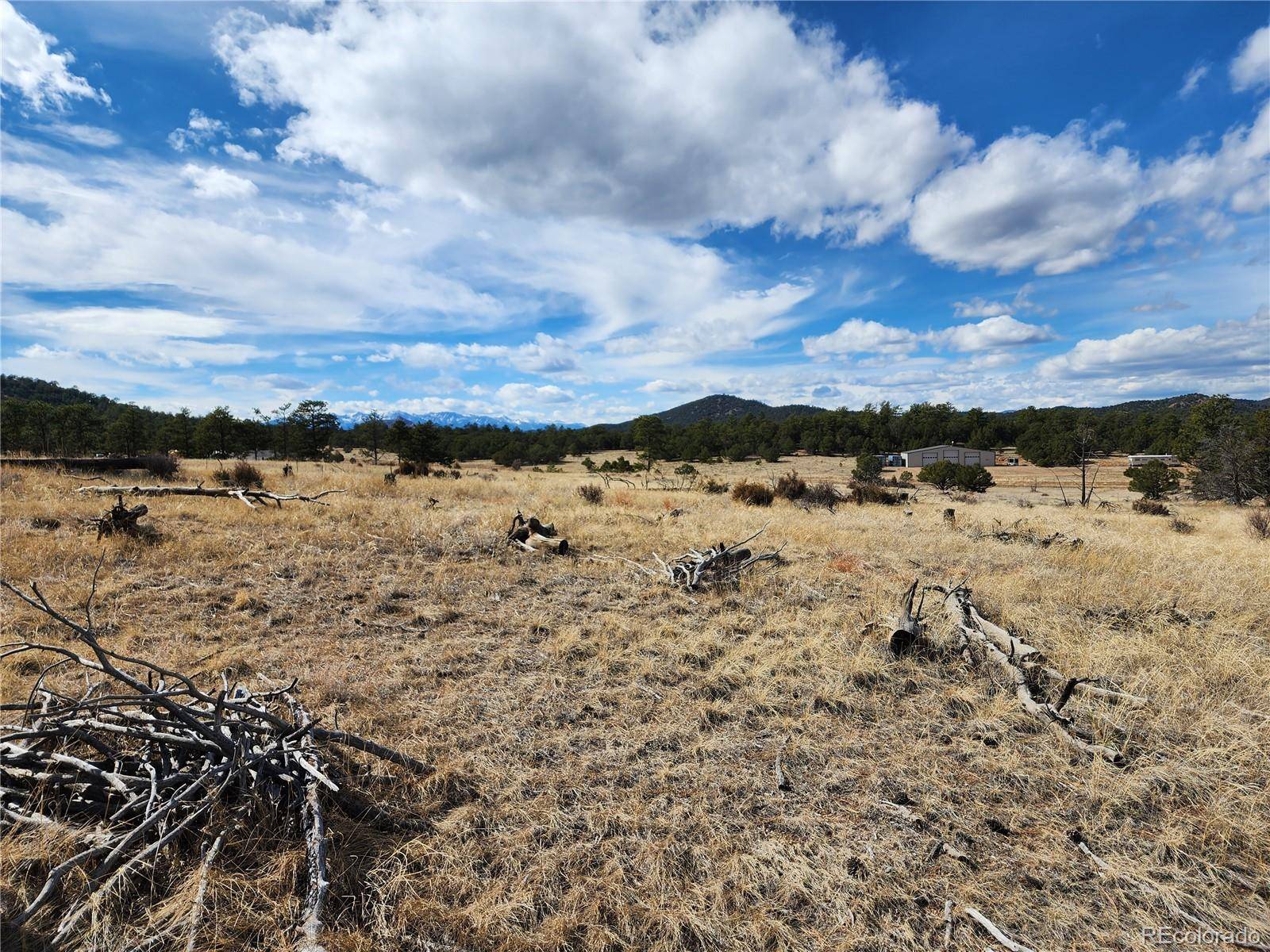 Pinon, Cotopaxi, CO 81223