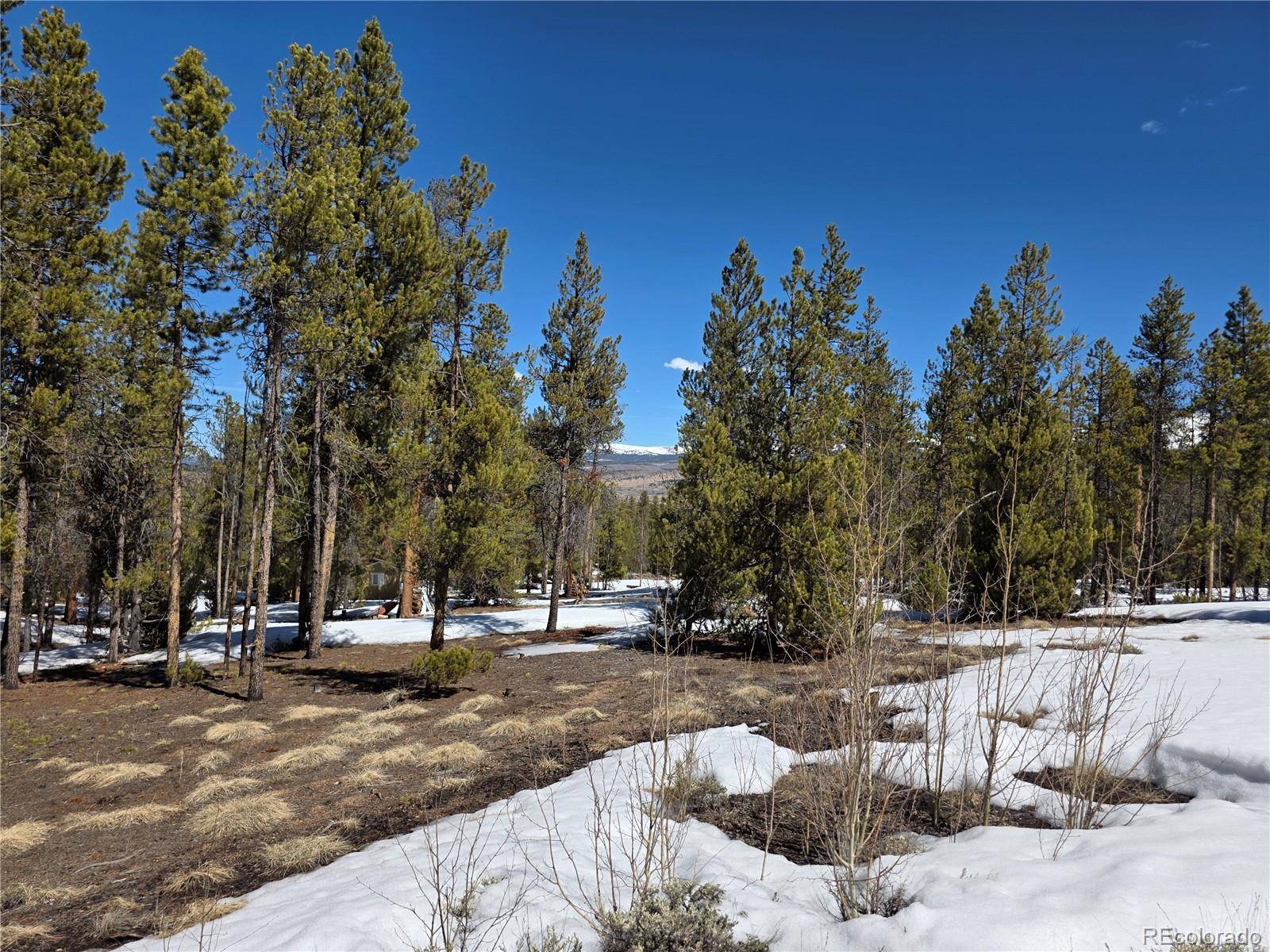 379 Lodgepole DR, Twin Lakes, CO 81251