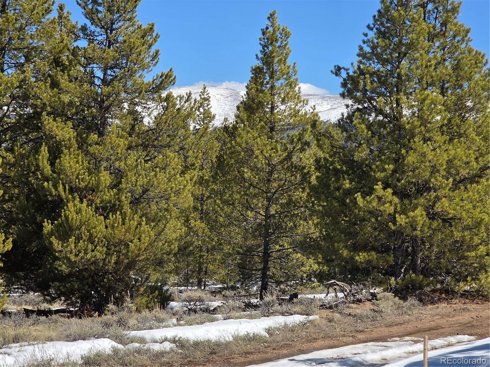 378 Ponderosa DR, Twin Lakes, CO 81251