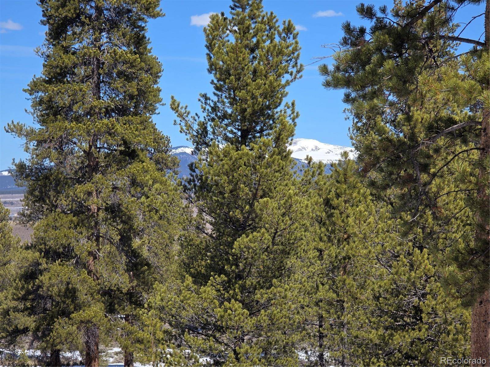 378 Ponderosa DR, Twin Lakes, CO 81251