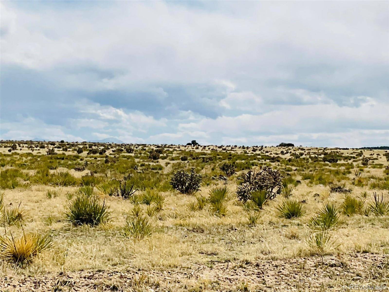 Lot 239 Turkey Ridge Ranch, Walsenburg, CO 81089