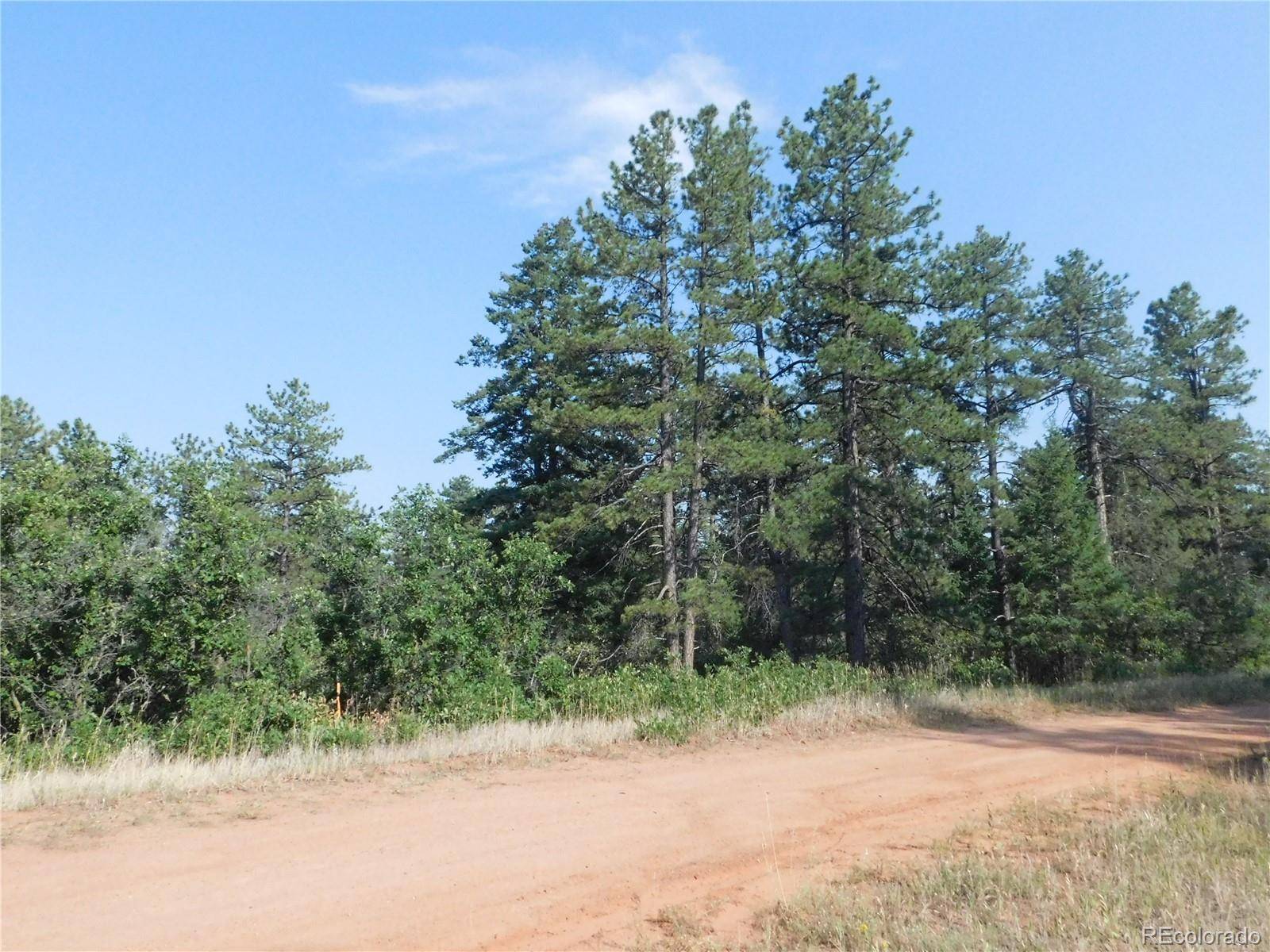 8122 Acoma DR, Larkspur, CO 80118