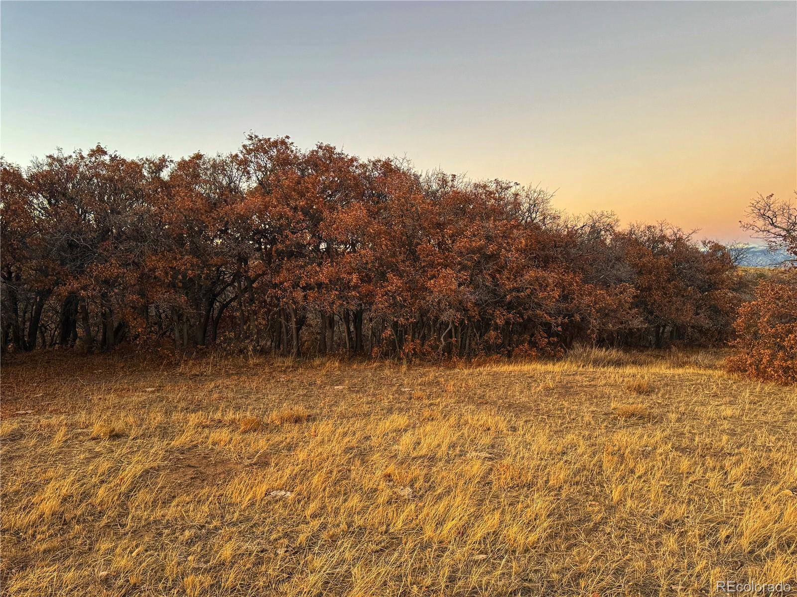 168 Colorado Land and Grazing, Gardner, CO 81040