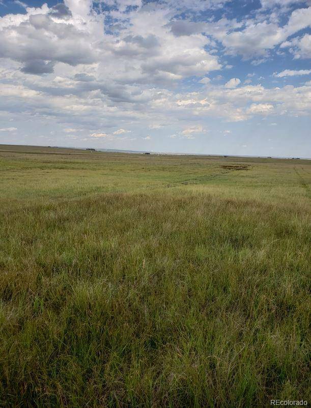 8155 Cowboy Ranch VW, Peyton, CO 80831