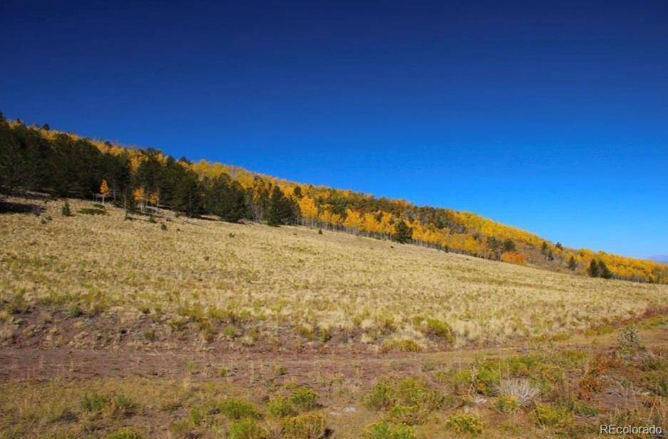 1245 Coochee TRL, Guffey, CO 80820