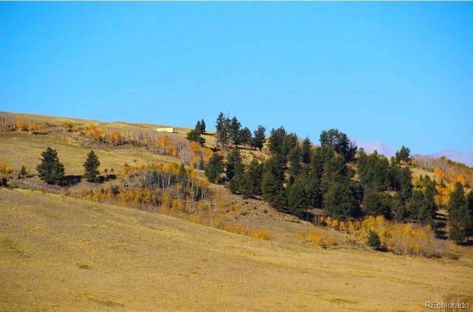 1245 Coochee TRL, Guffey, CO 80820