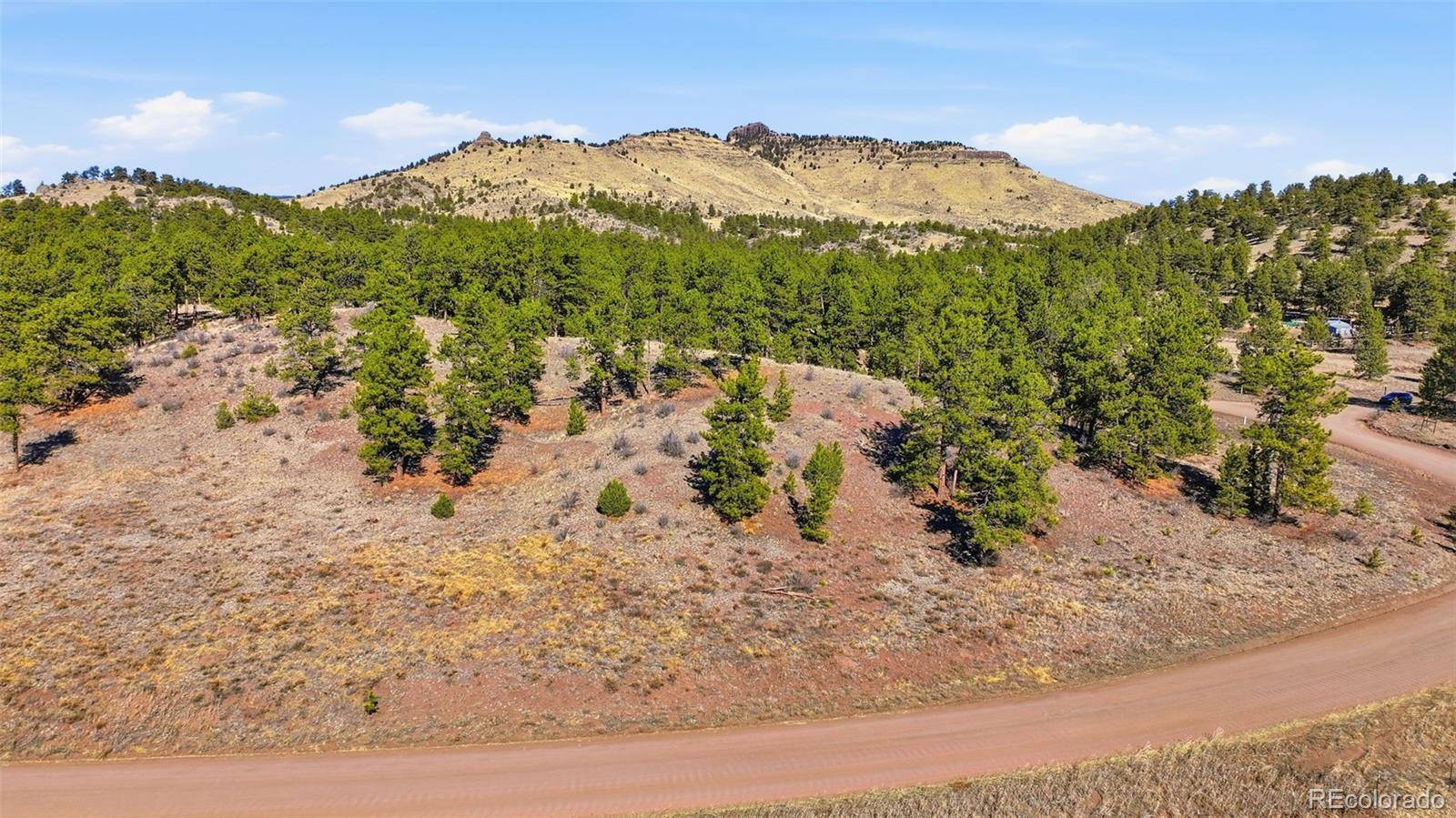 50 Stage Coach RD, Guffey, CO 80820