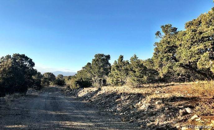 233 Lake Of The Falls Pkwy, Mosca, CO 81146