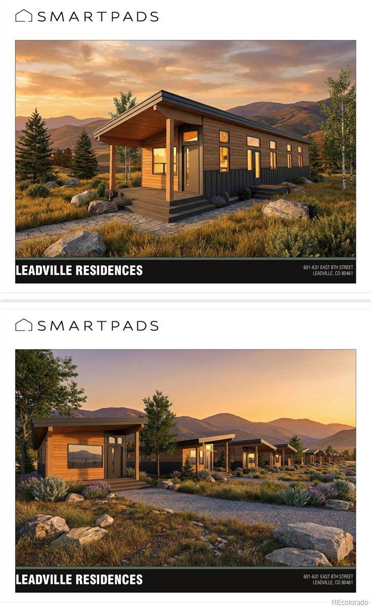 617 E 8th ST, Leadville, CO 80461