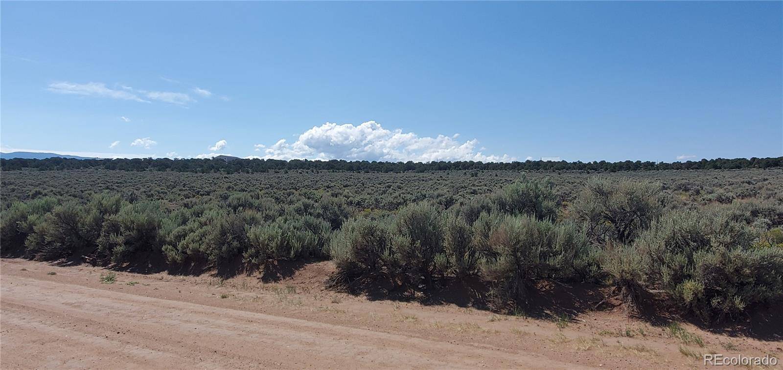 Lot 3392 Norton RD, Fort Garland, CO 81133
