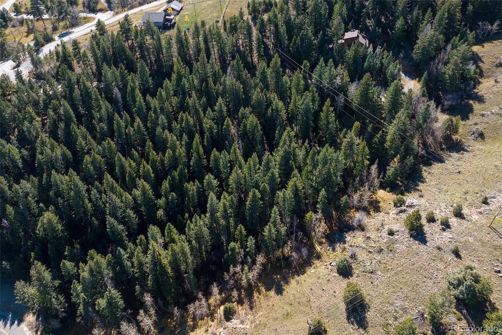 76 Ponderosa PL, Evergreen, CO 80439