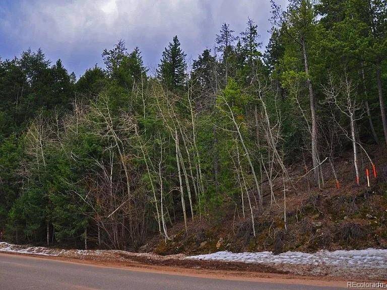10136 Crest View DR, Morrison, CO 80465