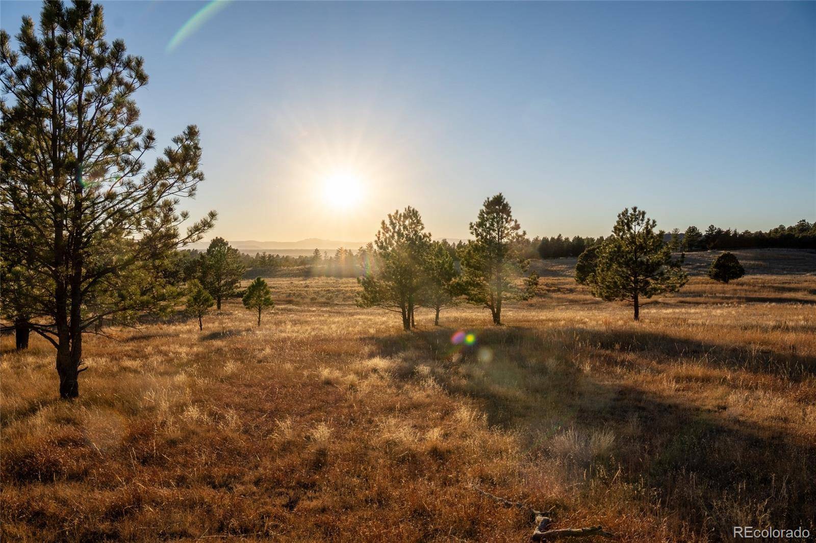 N/A Woodhaven Ridge RD, Parker, CO 80134