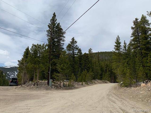 1090 Alice RD, Idaho Springs, CO 80452
