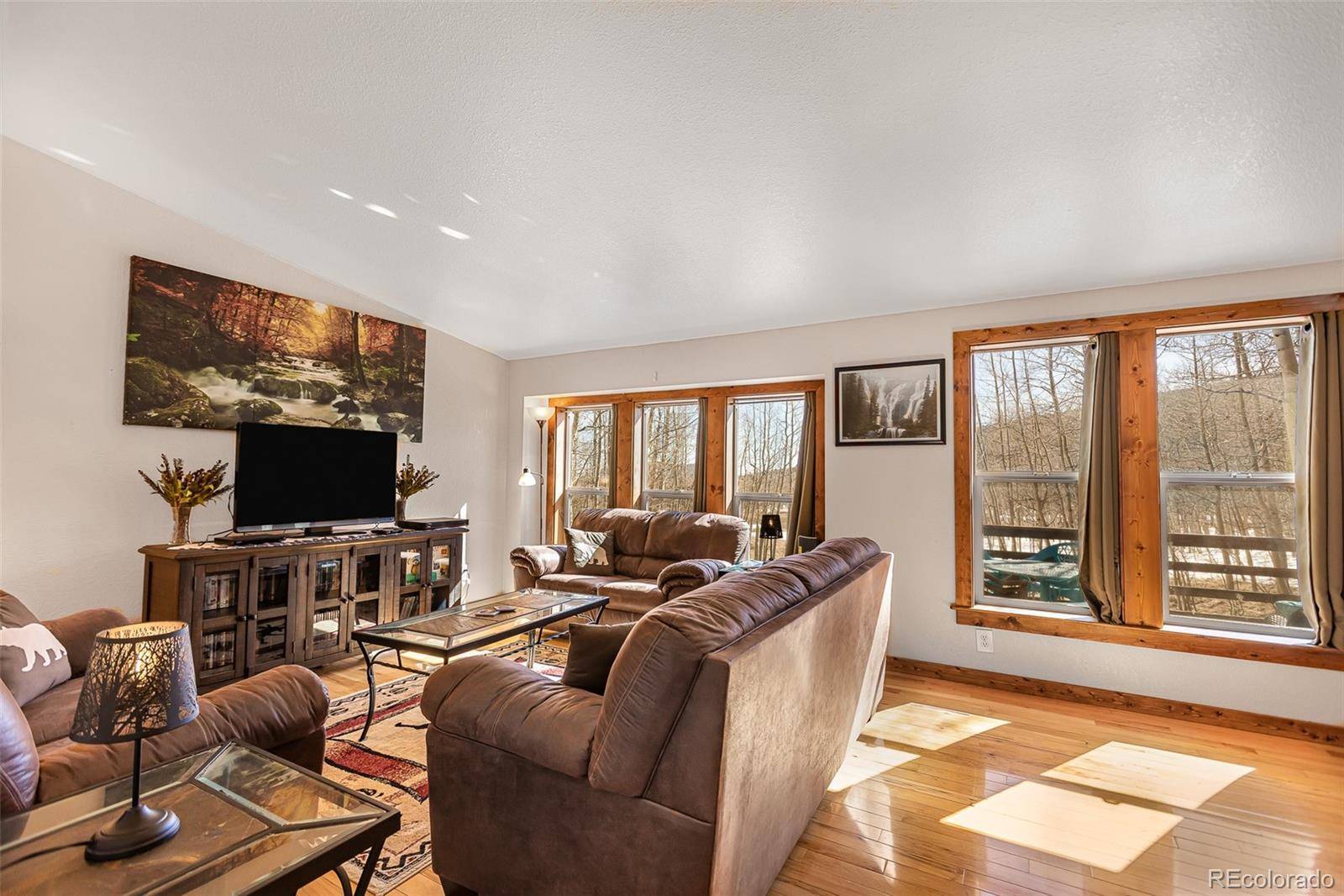 2346 High Creek RD, Fairplay, CO 80440