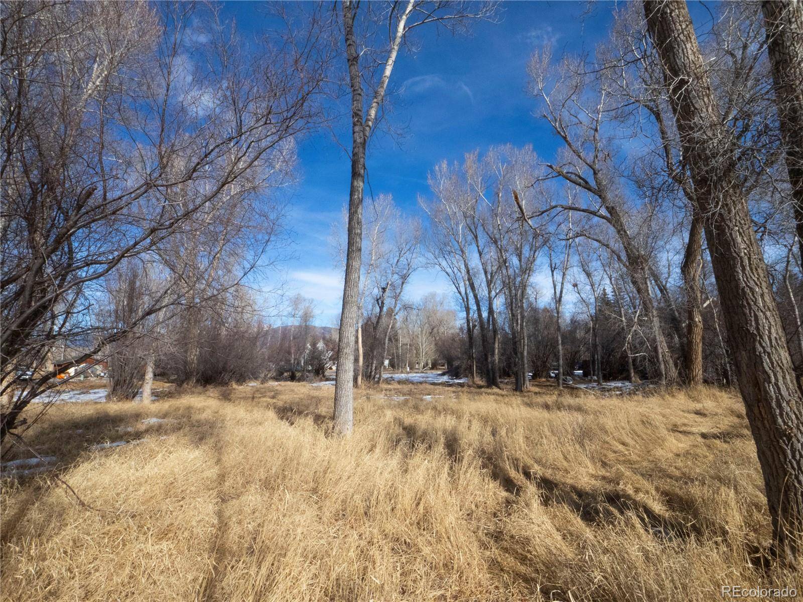 Tee RD, Buena Vista, CO 81211