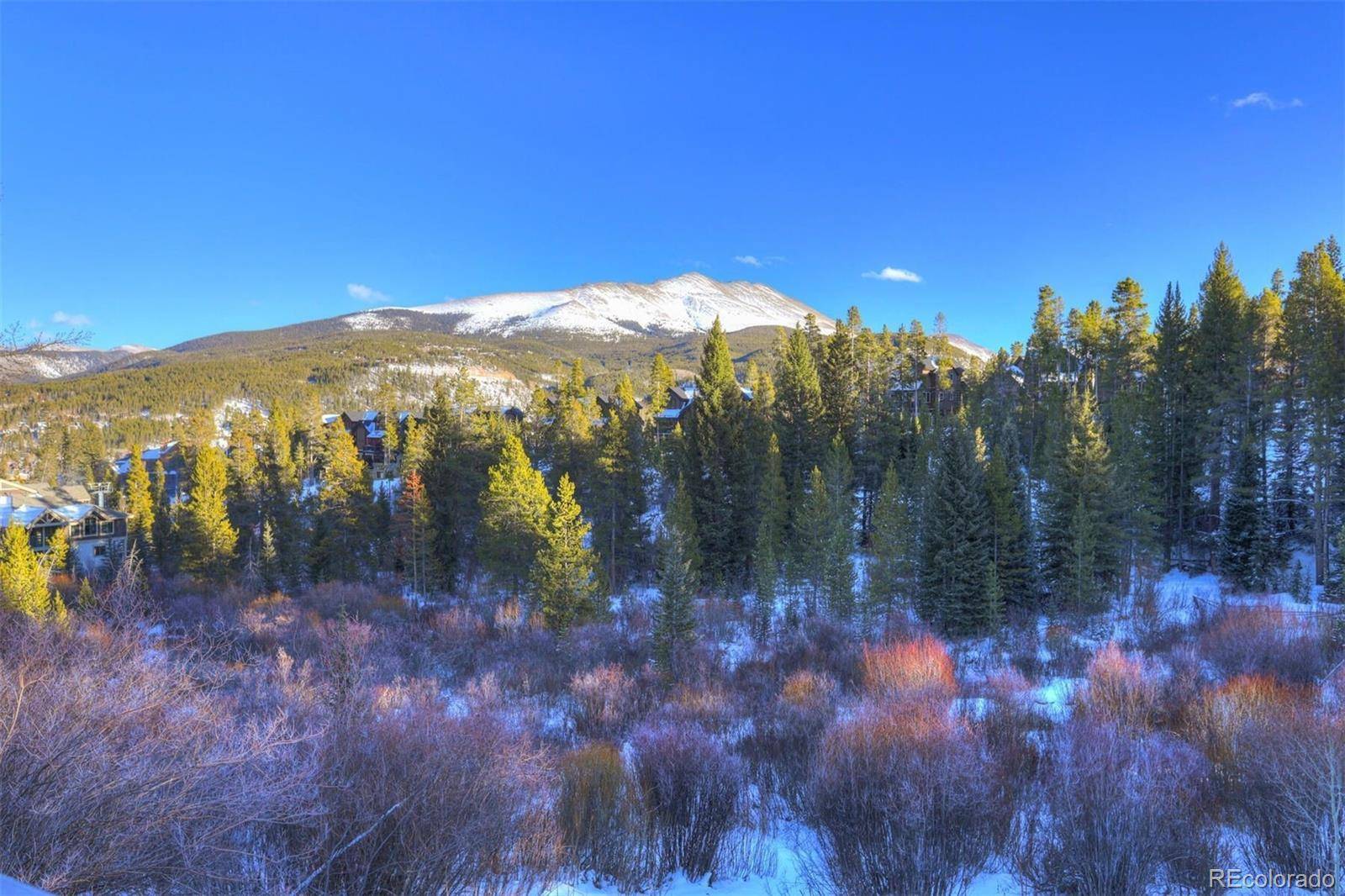 965 Four Oclock RD, Breckenridge, CO 80424