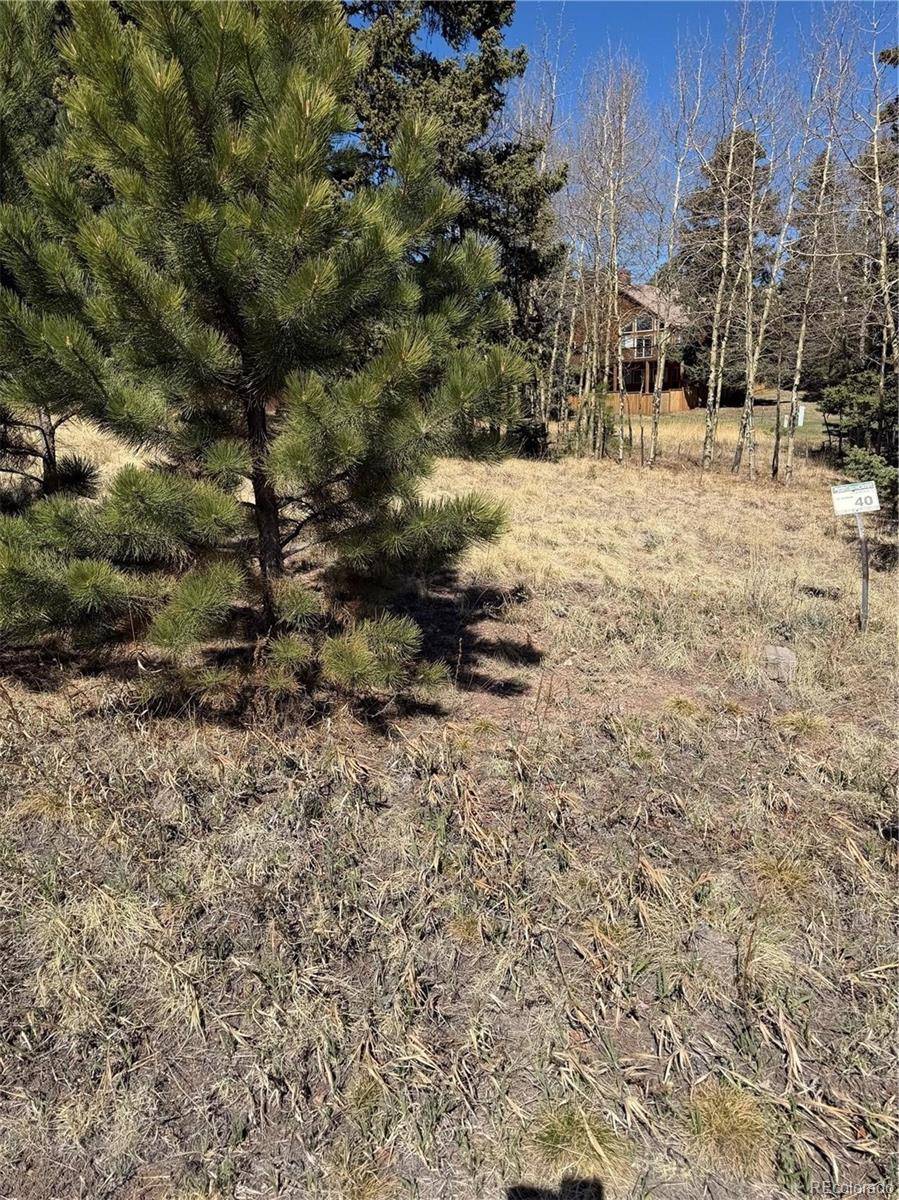 405 Meadow Park DR, Divide, CO 80814