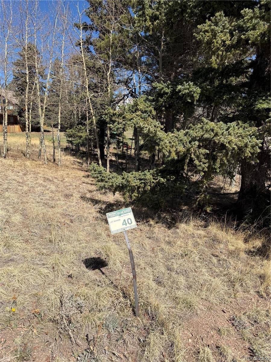 405 Meadow Park DR, Divide, CO 80814