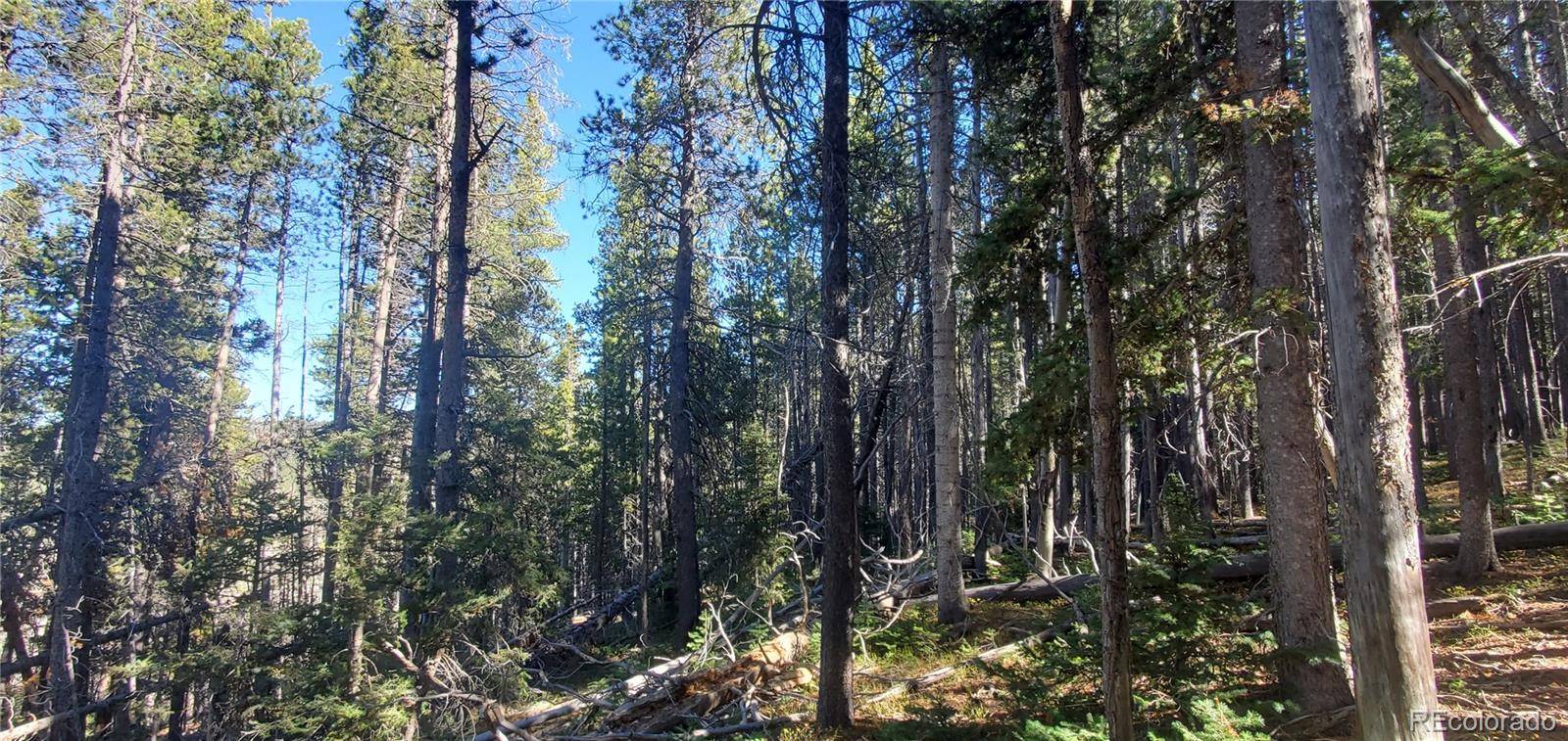 Lot 2999 & 2998 Drexler PL, Fort Garland, CO 81133