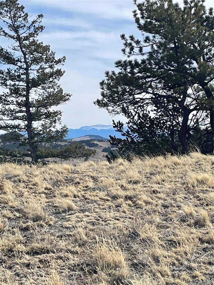 Antelope RD, Hartsel, CO 80449