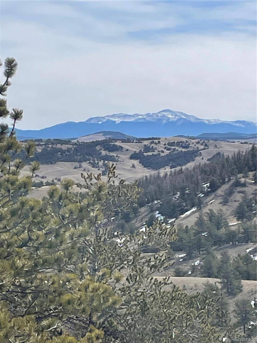 Antelope RD, Hartsel, CO 80449