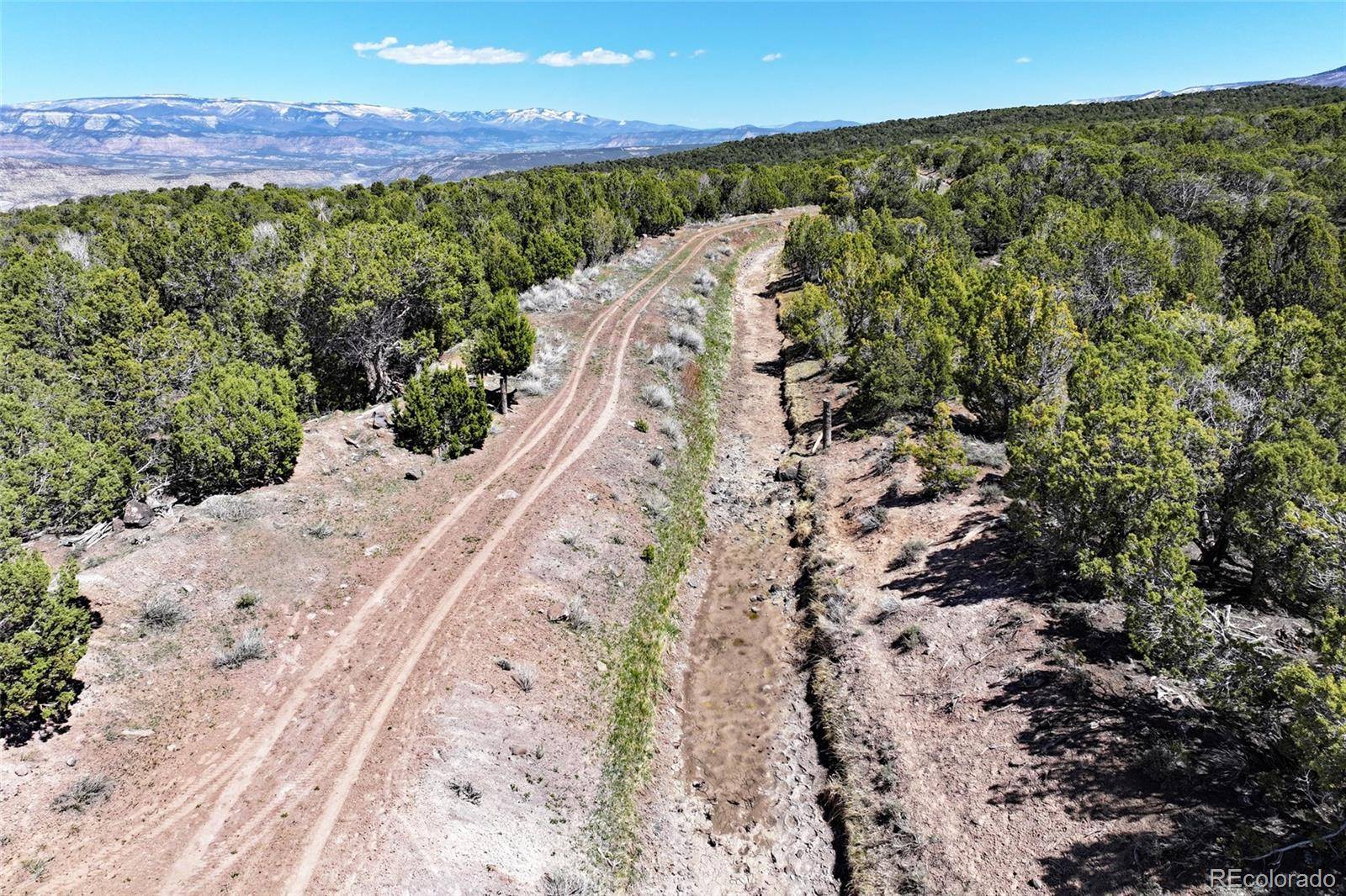 TBD Lot 4 TBD, Mesa, CO 81643