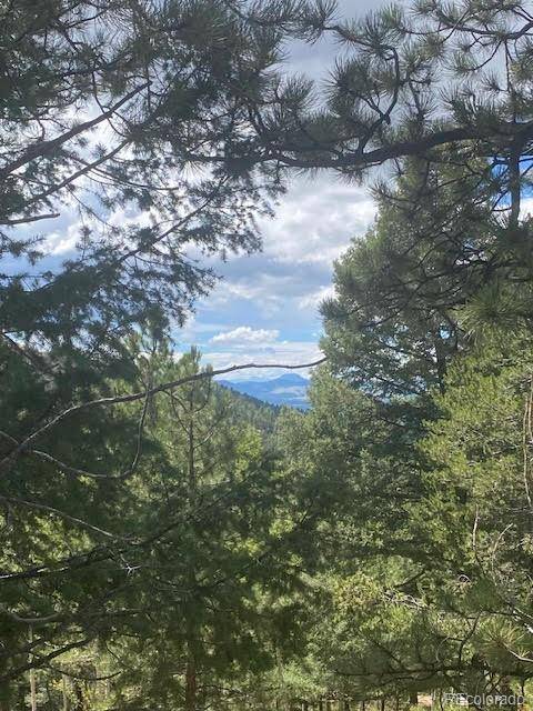 216 & 252 Troy DR, Cripple Creek, CO 80813
