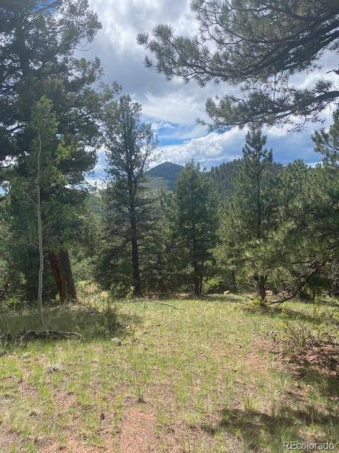216 & 252 Troy DR, Cripple Creek, CO 80813