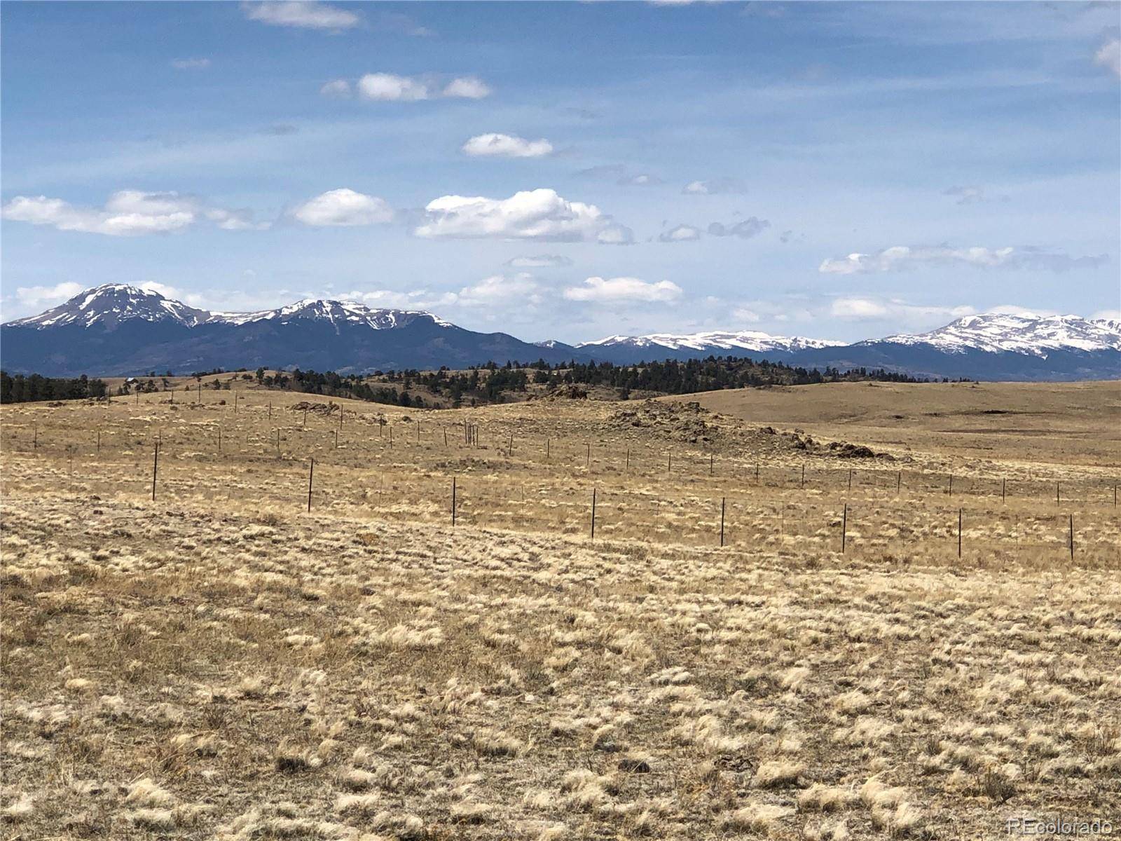 0 Lenape TRL, Hartsel, CO 80449