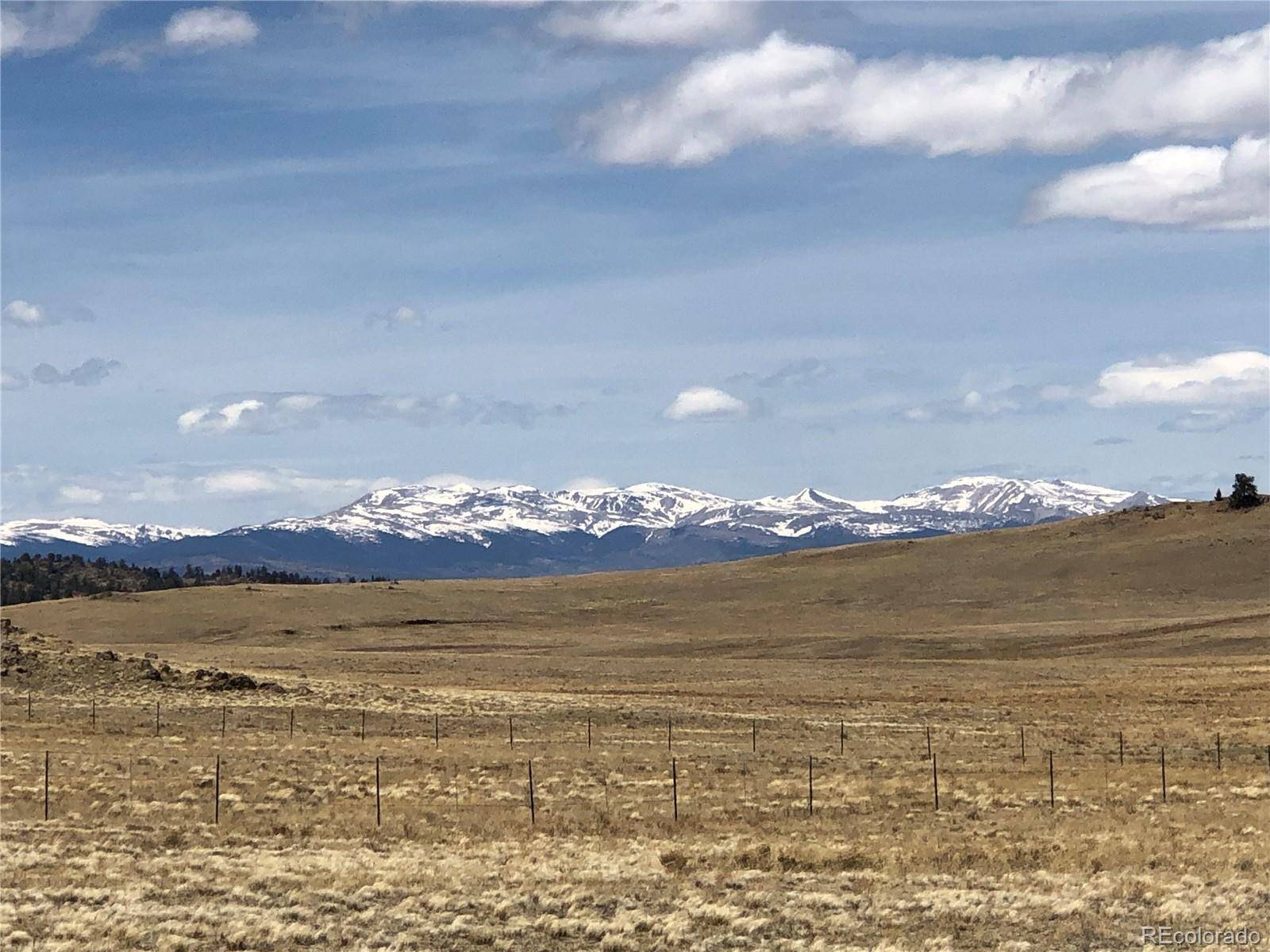 0 Lenape TRL, Hartsel, CO 80449