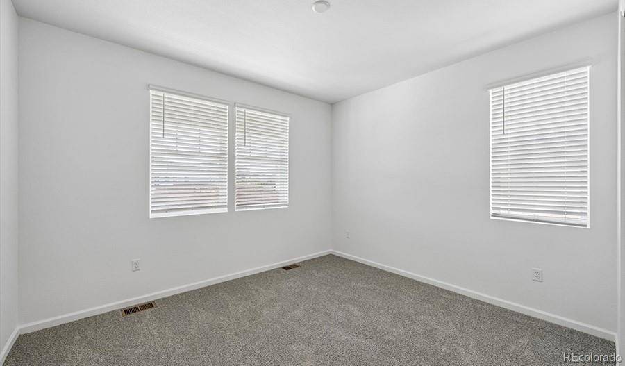 6407 Ankina DR, Windsor, CO 80528