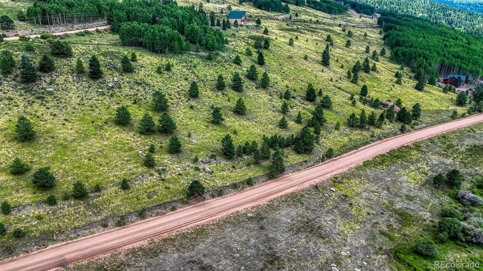 972 Anges DR, Cripple Creek, CO 80813