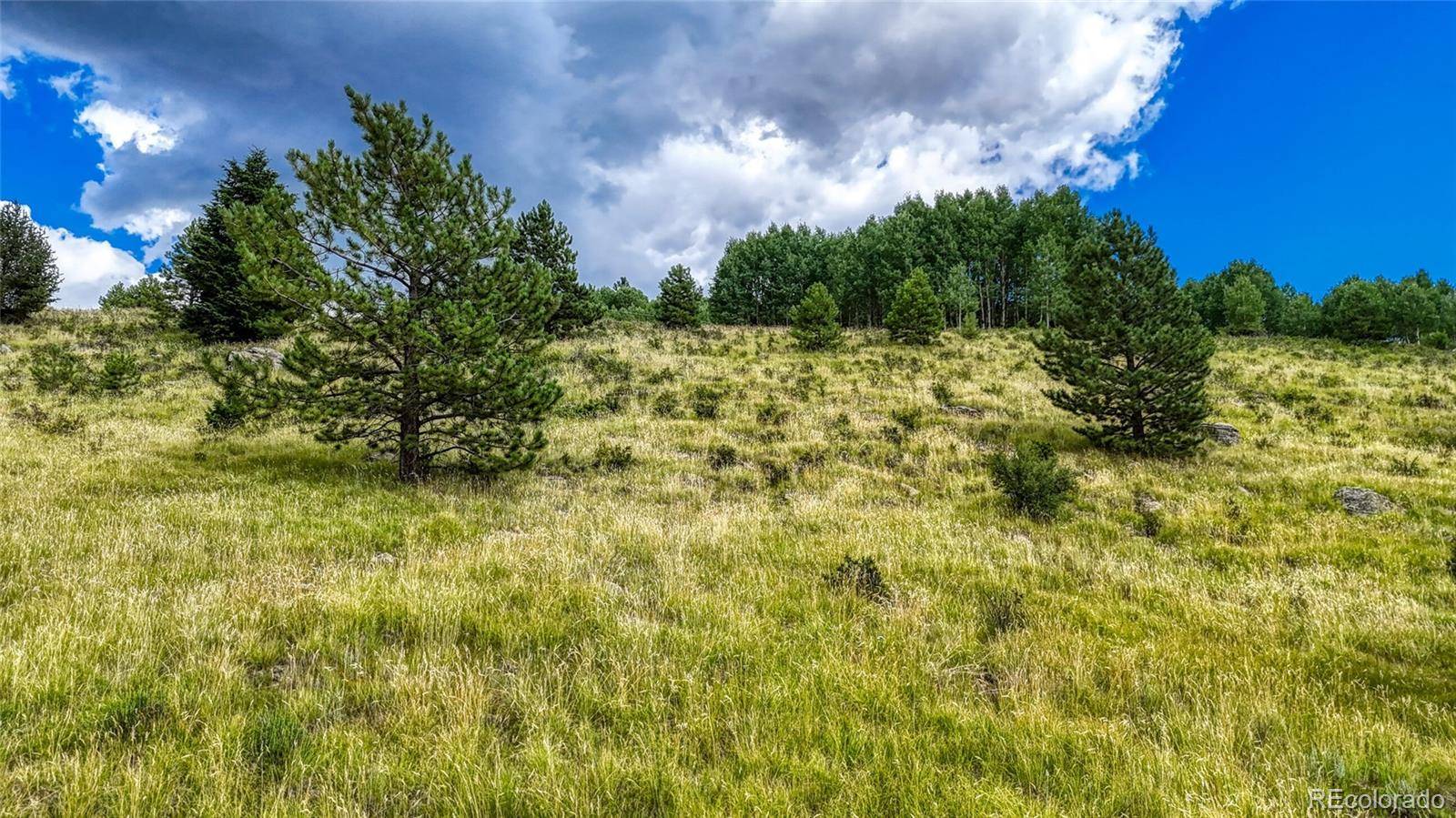 972 Anges DR, Cripple Creek, CO 80813