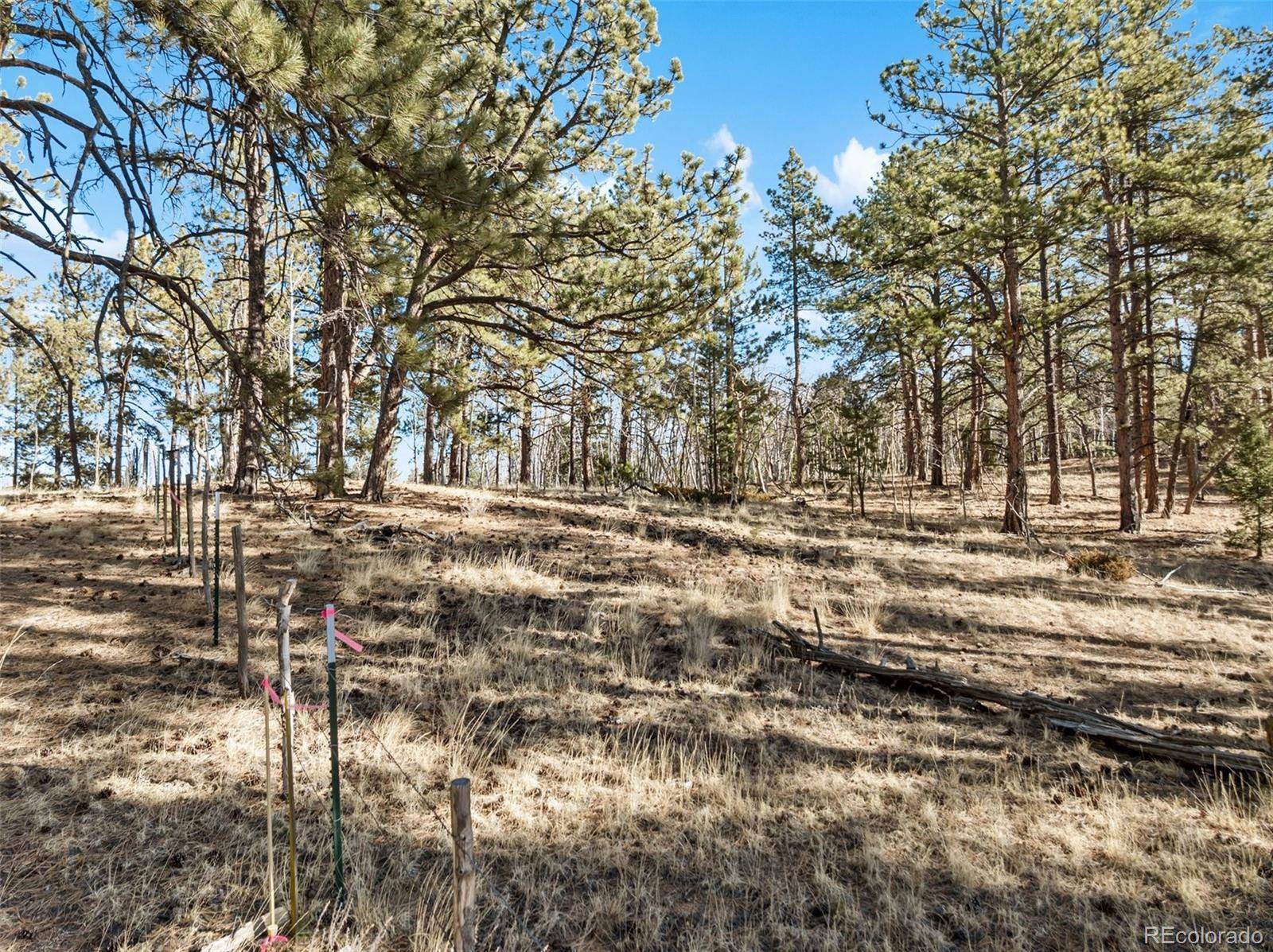 Lot 20 Echo Lake DR, Florissant, CO 80827