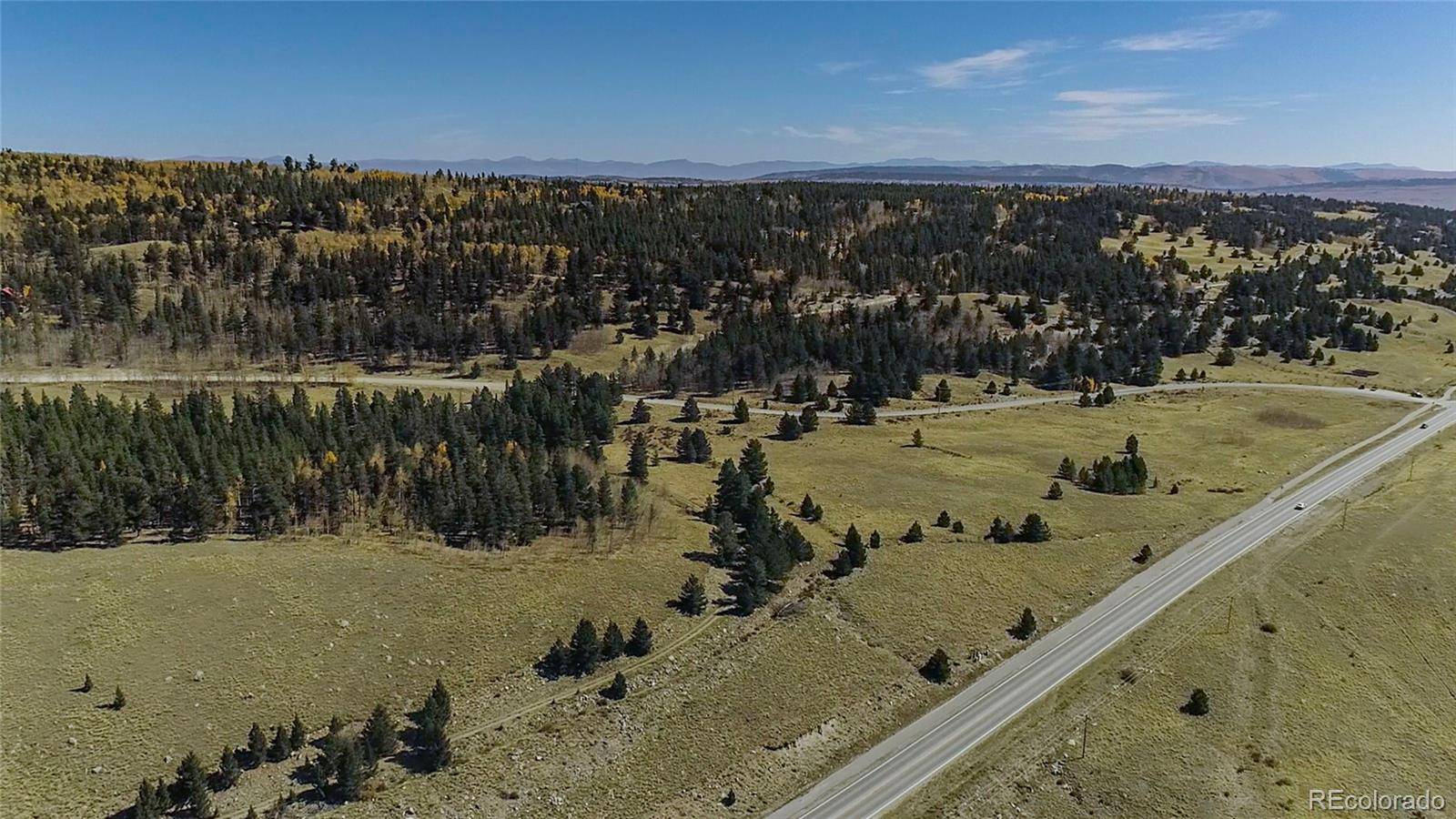 45 Platte River DR, Fairplay, CO 80440