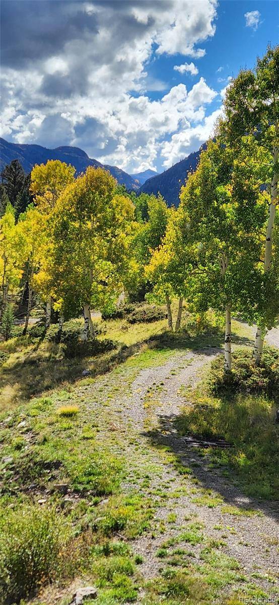 1113 Spring ST, Jasper, CO 81144