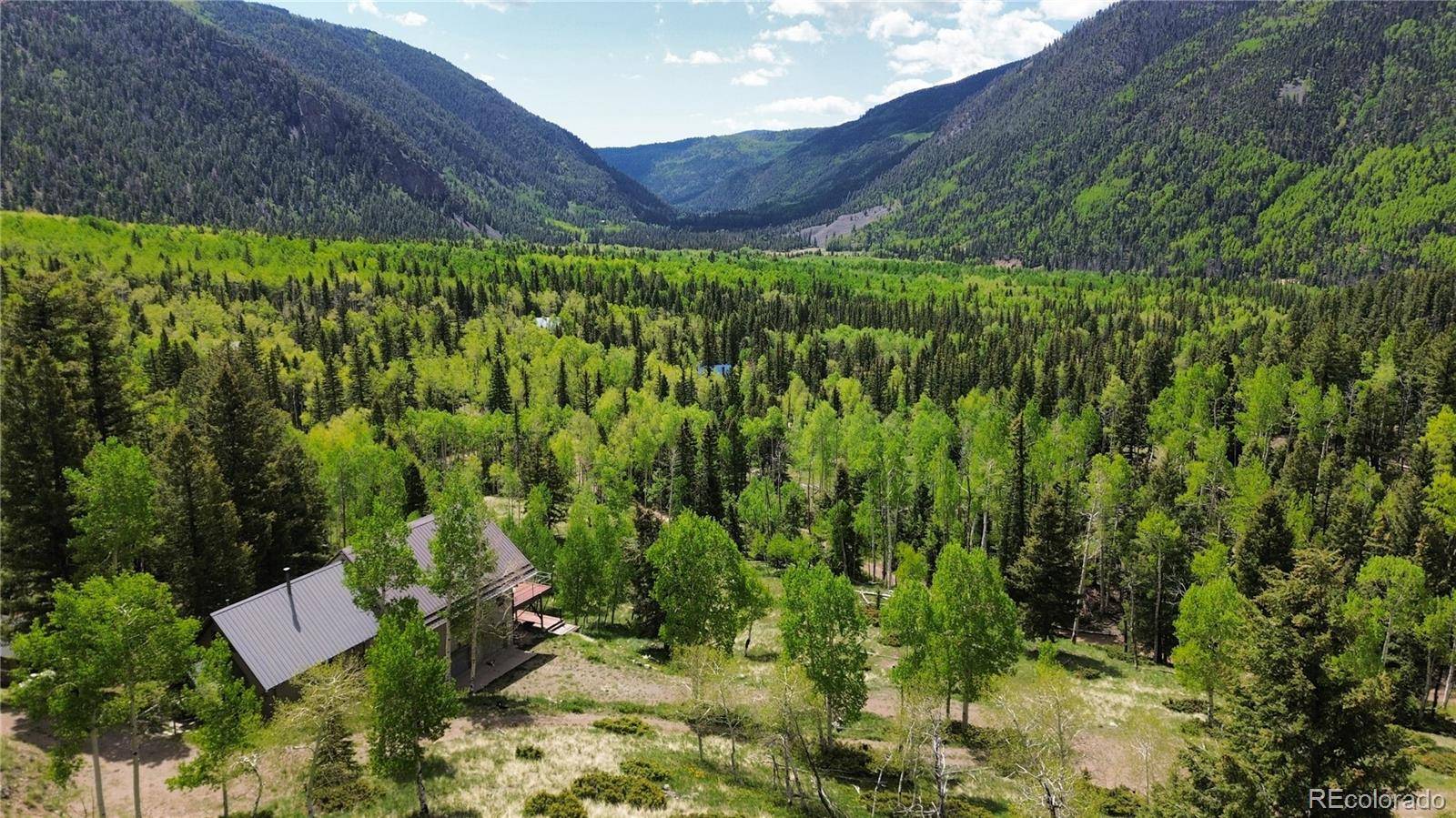 1113 Spring ST, Jasper, CO 81144