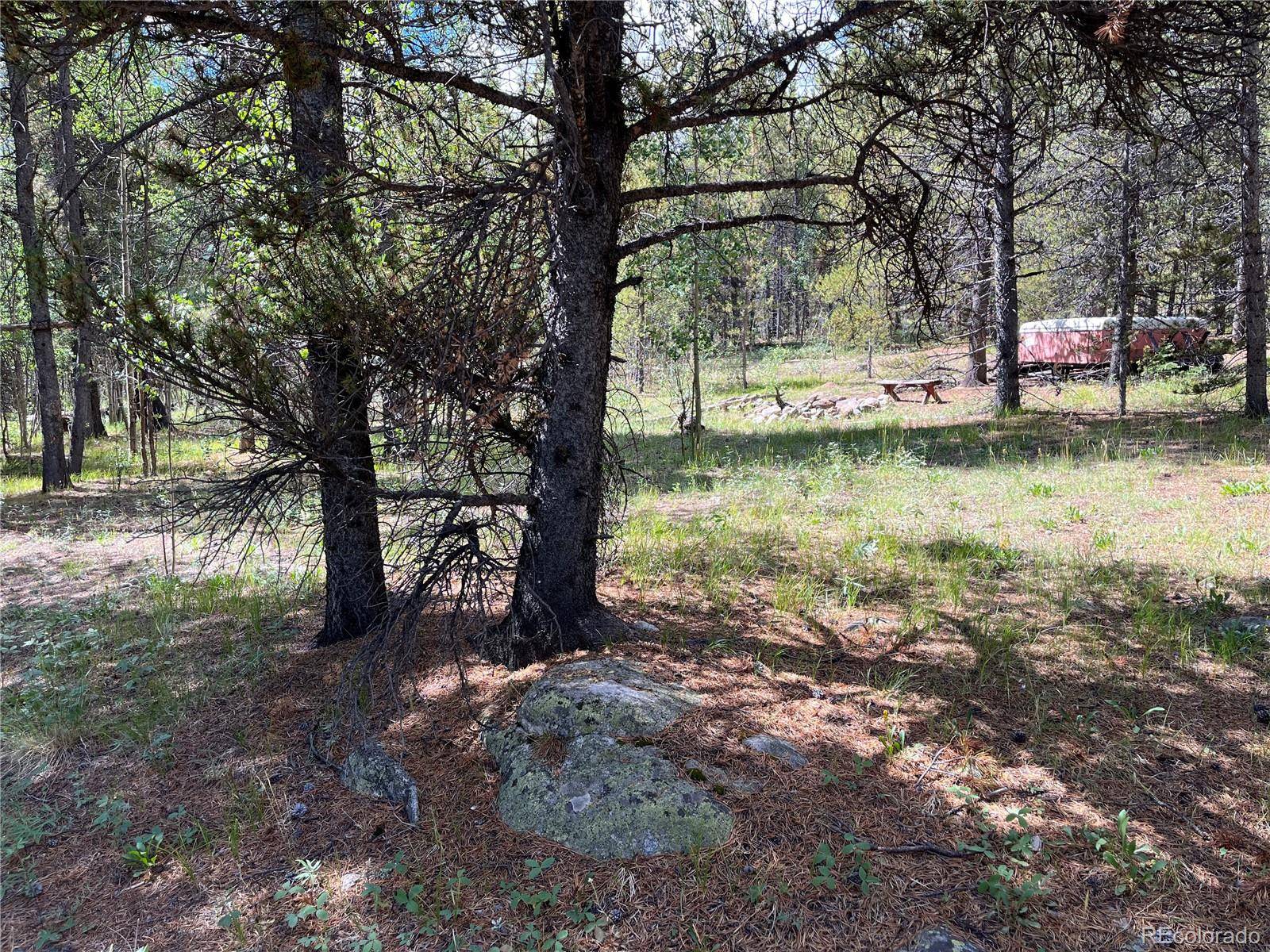 235 Ski Doo RD, Fairplay, CO 80440