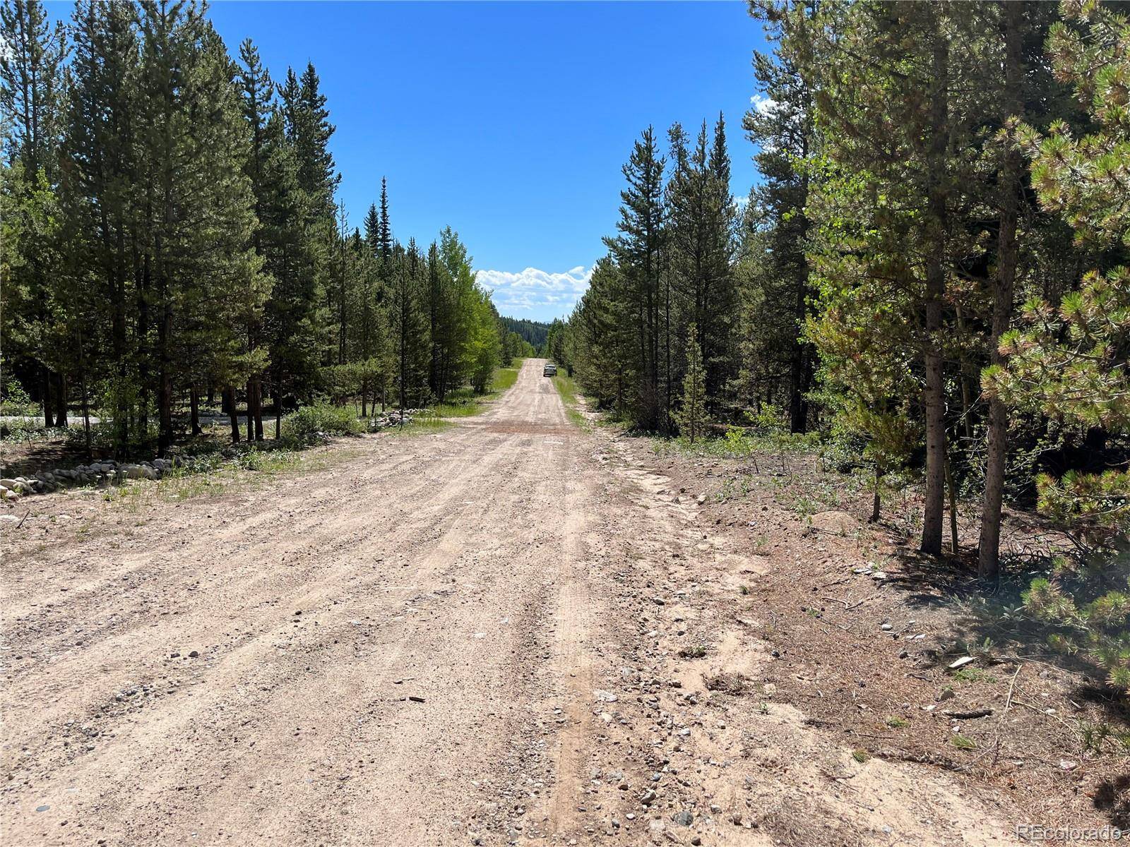235 Ski Doo RD, Fairplay, CO 80440