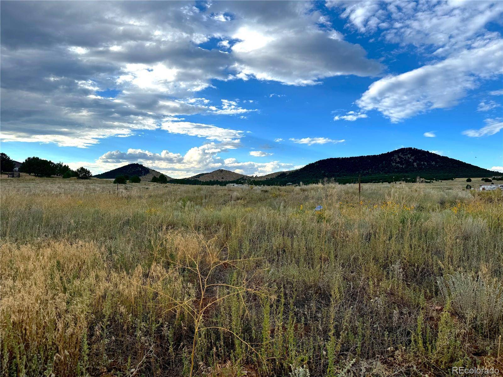 TBD #2, 23rd Trail, Cotopaxi, CO 81223