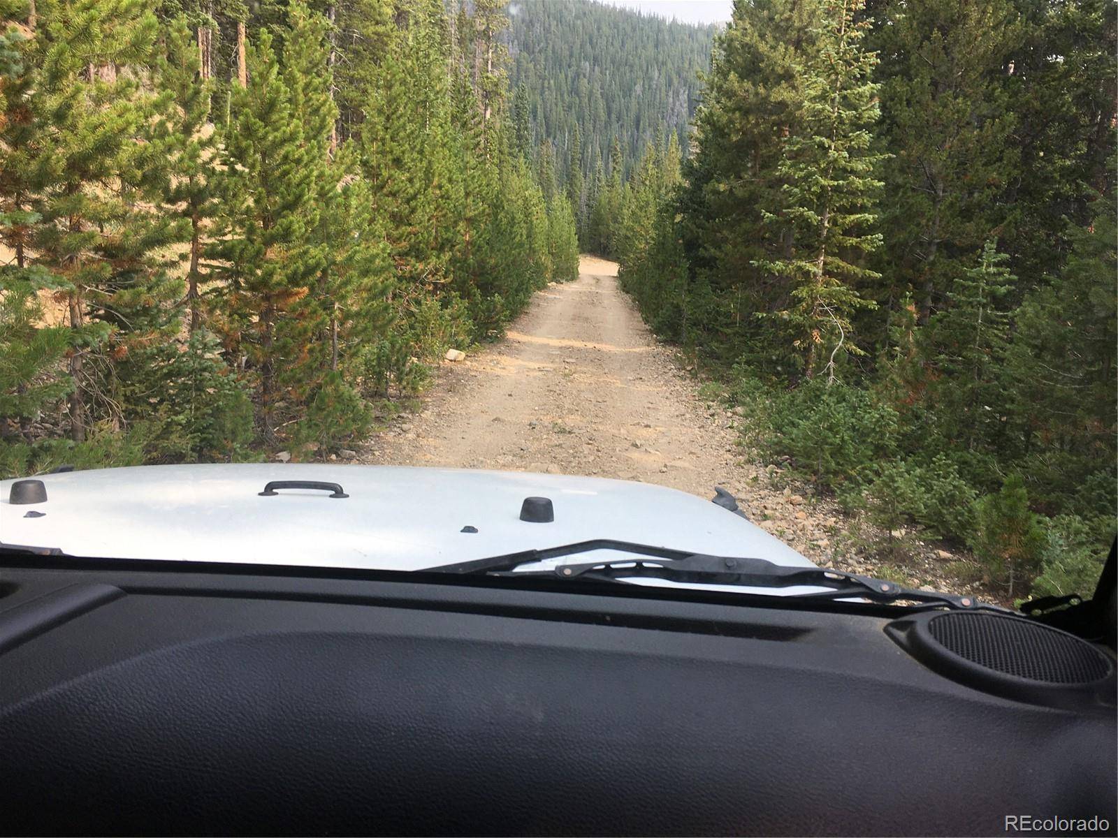 Nebraska Circle, Idaho Springs, CO 80452