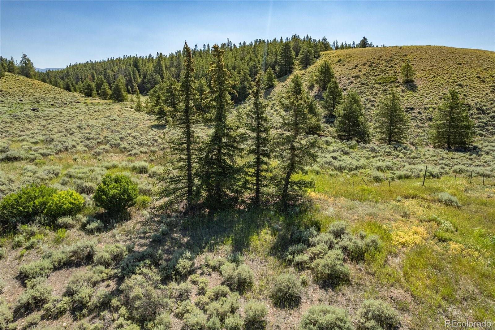 8361 Bank Placer, Leadville, CO 80461