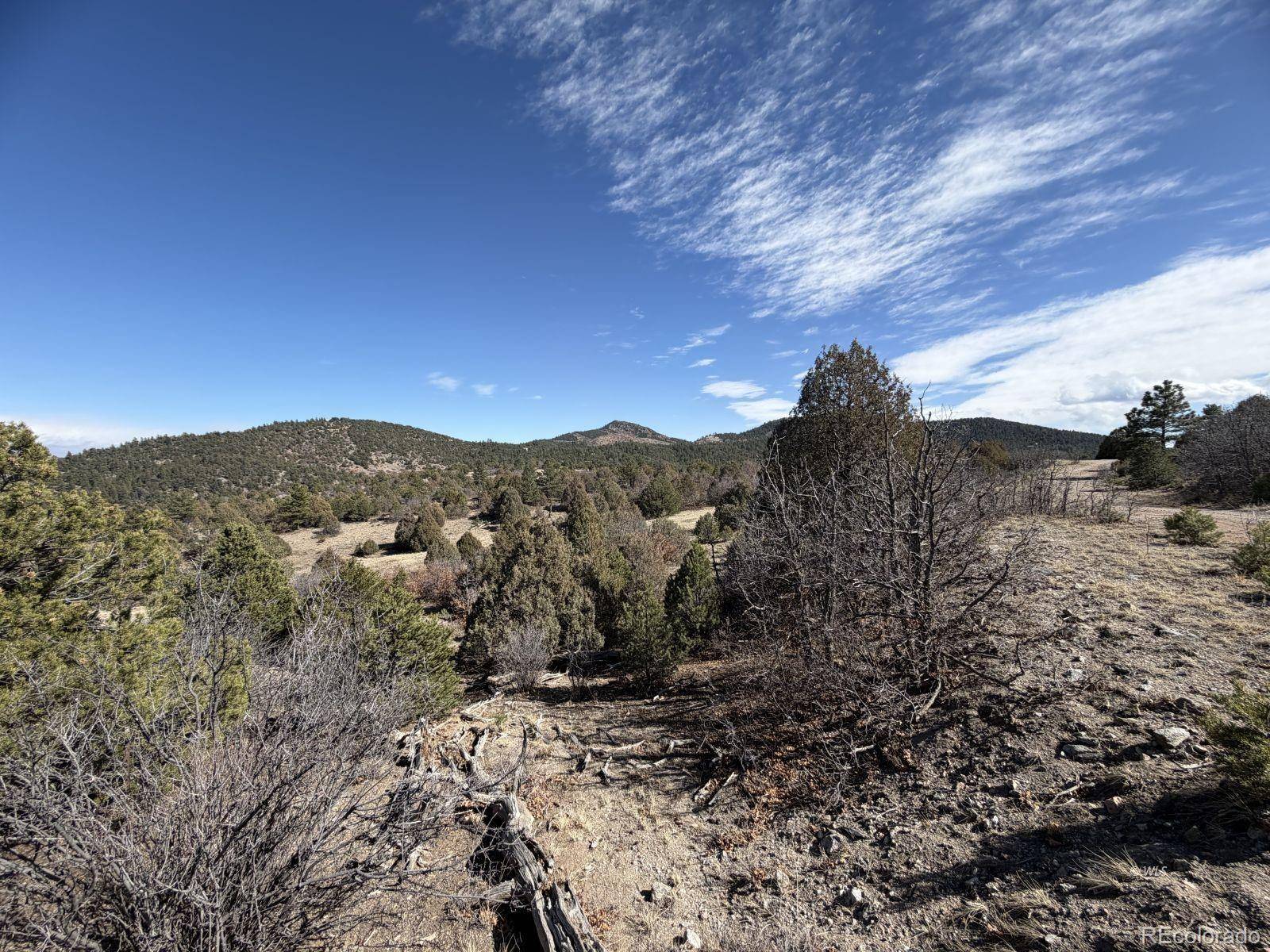 91 King PL, Cotopaxi, CO 81223
