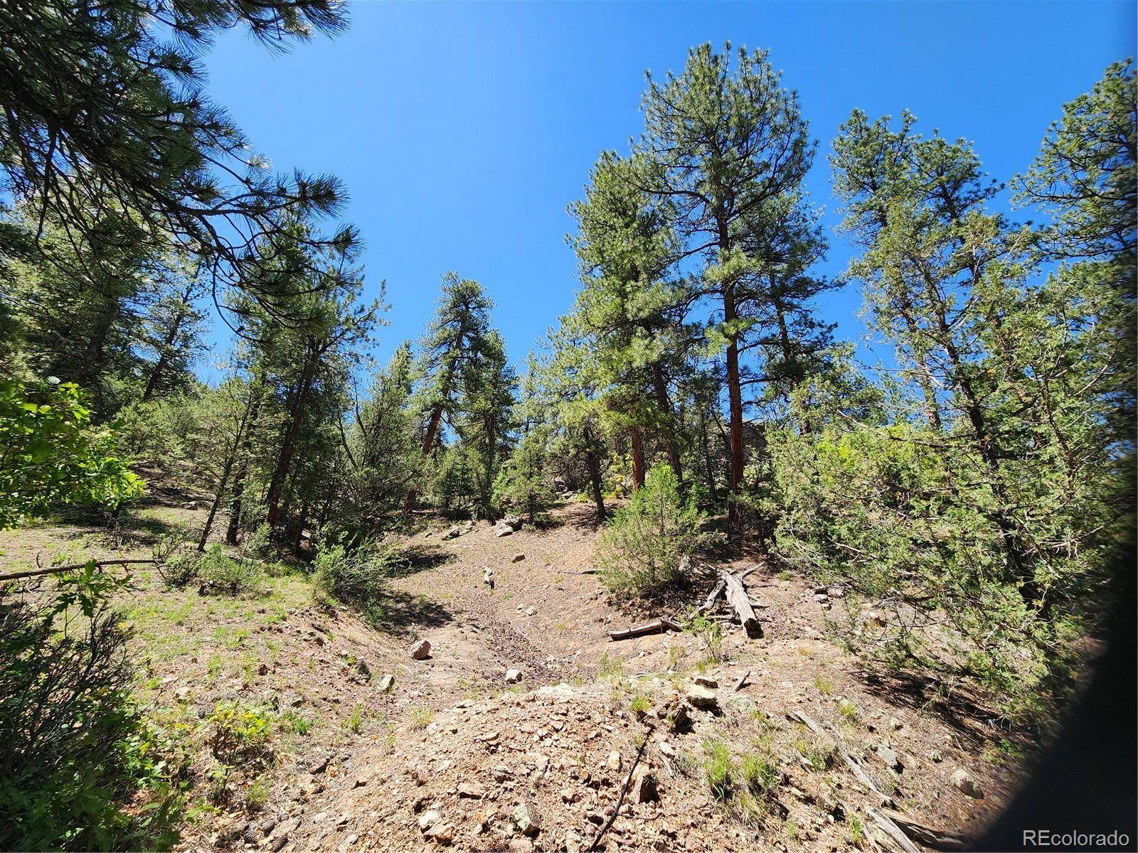 102 Kevin DR, Cotopaxi, CO 81223